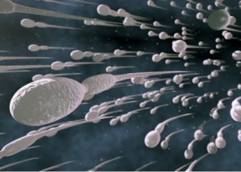 Οι άντρες πρέπει να εκσπερματώνουν 21 φορές τον μήνα λένε οι επιστήμονες