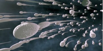 Οι άντρες πρέπει να εκσπερματώνουν 21 φορές τον μήνα λένε οι επιστήμονες