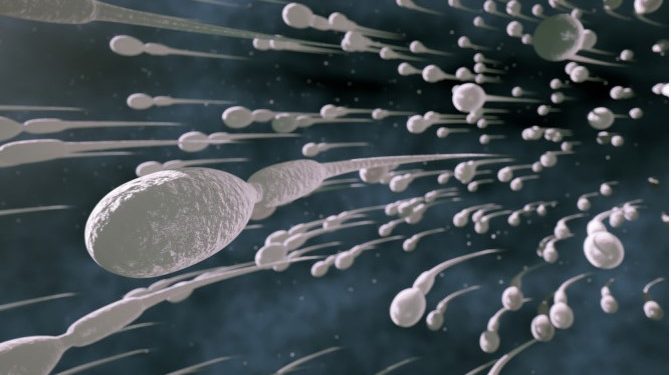 Οι άντρες πρέπει να εκσπερματώνουν 21 φορές τον μήνα λένε οι επιστήμονες