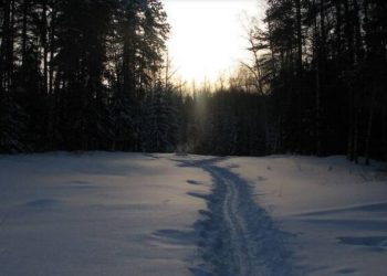 Η απόλυτη φρίκη μέσα στο χιόνι-9 φοιτητές βρέθηκαν γυμνοί, χωρίς μάτια και γλώσσα