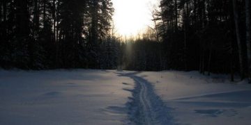 Η απόλυτη φρίκη μέσα στο χιόνι-9 φοιτητές βρέθηκαν γυμνοί, χωρίς μάτια και γλώσσα