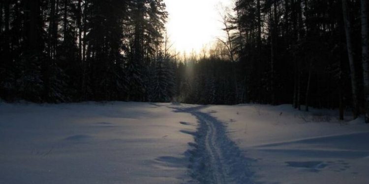 Η απόλυτη φρίκη μέσα στο χιόνι-9 φοιτητές βρέθηκαν γυμνοί, χωρίς μάτια και γλώσσα
