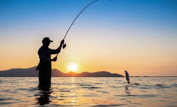 Ψαράς έπιασε απόκοσμο θαλάσσιο πλάσμα και όλοι αναρωτιούνται τι είναι[photo]