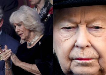 Σάλος στα Παλάτι! Άντρας λέει ότι είναι παιδί του Κάρολου και της Καμίλα!