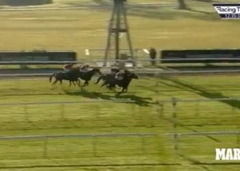 Στοίχημα 999 προς 1: Αουτσάιντερ άλογο αφηνιάζει στο τέλος και προσπερνάει σαν σταματημένα κερδίζοντας την ιπποδρομία (vid)