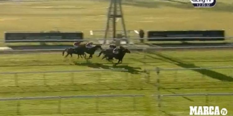 Στοίχημα 999 προς 1: Αουτσάιντερ άλογο αφηνιάζει στο τέλος και προσπερνάει σαν σταματημένα κερδίζοντας την ιπποδρομία (vid)