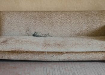 Βρήκε σε μεταχειρισμένο καναπέ που αγόρασε 40.000 ευρώ και τα επέστρεψε (vid)