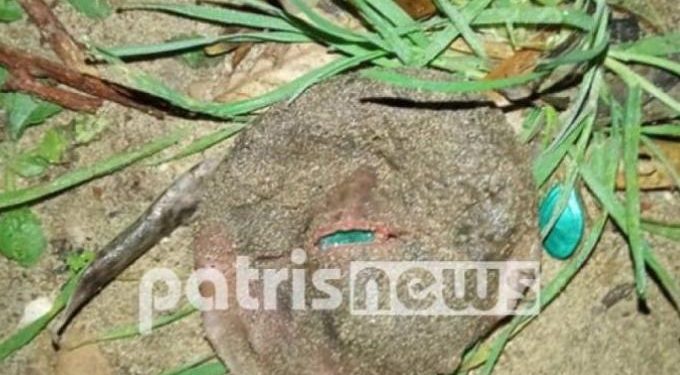 Alldaynews.gr Παράξενο «πράγμα» έκανε την εμφάνιση του σε χωριό (pics)