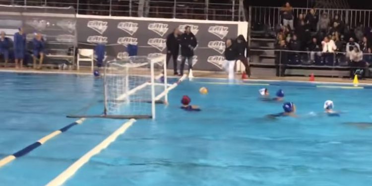 Alldaynews.gr Ντροπιαστικό συμβάν σε αγώνα της Α1 πόλο γυναικών: Οπαδοί Πέταξαν τον διαιτητή στην πισίνα! (video)