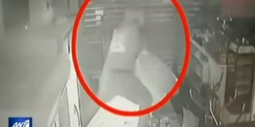 Alldaynews.gr VIDEO ντοκουμέντο: Διαρρήκτης ρημάζει μίνι μάρκετ στη Θεσσαλονίκη και αρπάζει τον κουμπαρά με τα φιλοδωρήματα