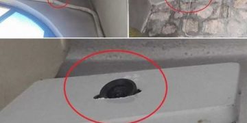 Alldaynews.gr Παπάς έβαλε κάμερες για να βλέπει τι ρίχνουν στο παγκάρι (pics)