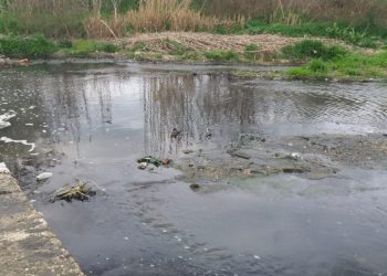Λάρισα: Σύλληψη προέδρου τυροκομικής επιχείρησης για ρύπανση ποταμού