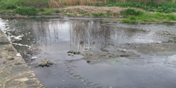 Alldaynews.gr Λάρισα: Σύλληψη προέδρου τυροκομικής επιχείρησης για ρύπανση ποταμού