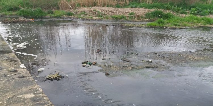 Alldaynews.gr Λάρισα: Σύλληψη προέδρου τυροκομικής επιχείρησης για ρύπανση ποταμού