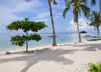 Τους τσάκωσαν να κάνουν σεξ σε παραλία – Δείτε τι ακολούθησε[photos]