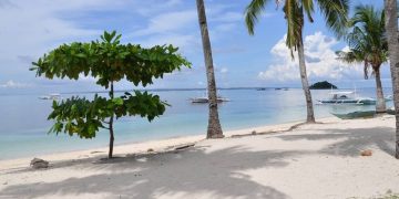 Τους τσάκωσαν να κάνουν σεξ σε παραλία – Δείτε τι ακολούθησε[photos]