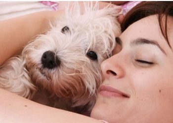 Ένας στους πέντε ανθρώπους προτιμά να έχει σκύλο παρά να βρίσκεται σε σχέση