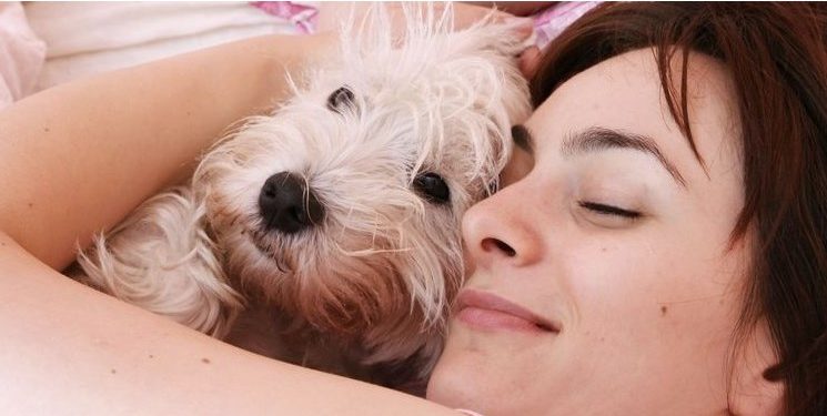 Alldaynews.gr Ένας στους πέντε ανθρώπους προτιμά να έχει σκύλο παρά να βρίσκεται σε σχέση