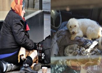 Κυρία Λένα: Η 55χρονη γυναίκα που μένει μέσα στο αυτοκίνητο της με τα δύο σκυλιά της εδώ και 33 μήνες!