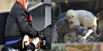 Κυρία Λένα: Η 55χρονη γυναίκα που μένει μέσα στο αυτοκίνητο της με τα δύο σκυλιά της εδώ και 33 μήνες!