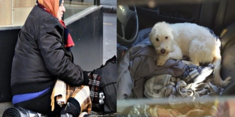 Κυρία Λένα: Η 55χρονη γυναίκα που μένει μέσα στο αυτοκίνητο της με τα δύο σκυλιά της εδώ και 33 μήνες!