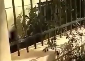 ΑΣΟΕΕ: Ειδικός φρουρός τράβηξε όπλο μέσα στο πανεπιστήμιο[Βίντεο Ντοκουμέντο]