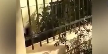 ΑΣΟΕΕ: Ειδικός φρουρός τράβηξε όπλο μέσα στο πανεπιστήμιο[Βίντεο Ντοκουμέντο]