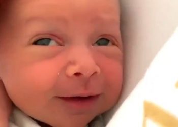 Θα λιώσεις: Απίστευτο μωράκι όταν το χαϊδεύουν (vid)