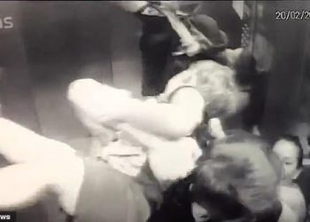 Κόβει την ανάσα: Πίτμπουλ επιτίθεται σε αγοράκι 18 μηνών – Καρέ καρέ η επίθεση (Video)