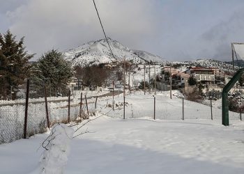 Τρίκαλα: Χιόνι μέχρι 20 εκατοστά – Χωρίς προβλήματα οι μετακινήσεις