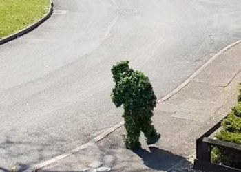 Κορωνοϊός: Ζωντάνεψαν θάμνοι (video)