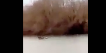 Alldaynews.gr Έβρος ΤΩΡΑ. Ελληνικά πυρά σε βάρκα που προσπάθησε να περάσει παράνομα