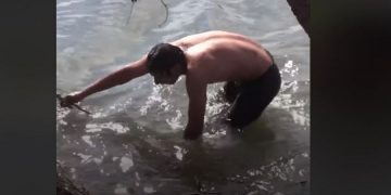 Έβρος: Μετανάστες κολυμπούν στον ποταμό για να επιστρέψουν στην Τουρκία (video)