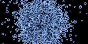 Παγκόσμια Ανησυχία: Μυστηριώδης «ασθένεια» προκαλεί πυρετό και αιμορραγία από τα μάτια-Εξαπλώνεται με ραγδαίους ρυθμούς