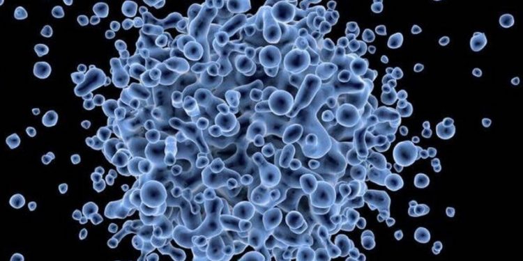 Παγκόσμια Ανησυχία: Μυστηριώδης «ασθένεια» προκαλεί πυρετό και αιμορραγία από τα μάτια-Εξαπλώνεται με ραγδαίους ρυθμούς