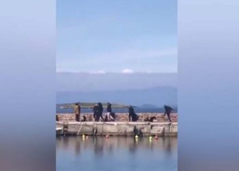 Έπεσε πολύ Ξύλο σε μέλη ΜΚΟ στη Λέσβο![video]