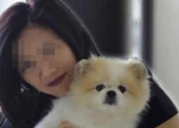 Κορωνοϊός: Πέθανε ο πρώτος σκύλος που είχε διαγνωστεί θετικός στον ιό