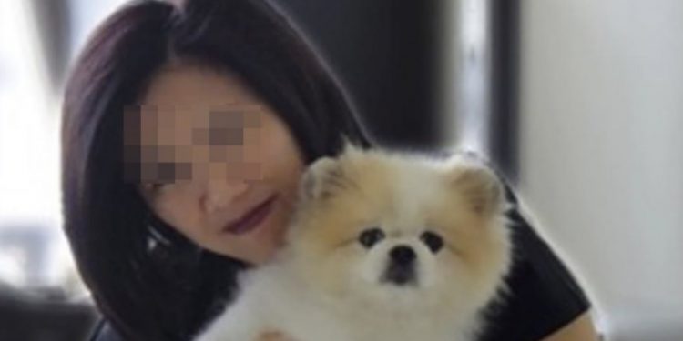 Alldaynews.gr Κορωνοϊός: Πέθανε ο πρώτος σκύλος που είχε διαγνωστεί θετικός στον ιό