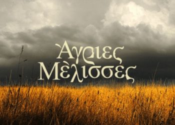Alldaynews.gr Άγριες Μελισσες