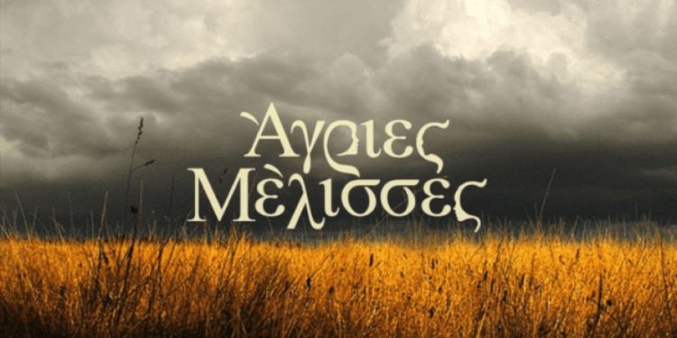Alldaynews.gr Άγριες Μελισσες