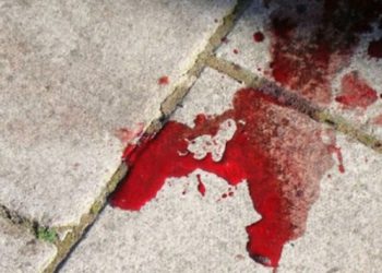Αίμα παντού! Τόπος μαρτυρίου το σπίτι που βιάσθηκε και δολοφονήθηκε η Ελένη Τοπαλούδη!