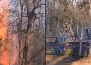Νέα ένταση στον Έβρο: Επιχείρησαν να ρίξουν τον φράχτη με φλεγόμενο δέντρο – Βίντεο ντοκουμέντο