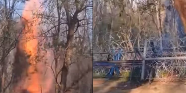 Alldaynews.gr Νέα ένταση στον Έβρο: Επιχείρησαν να ρίξουν τον φράχτη με φλεγόμενο δέντρο – Βίντεο ντοκουμέντο