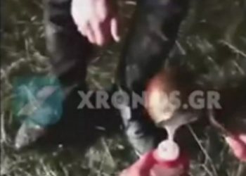 Έβρος: Το βίντεο που μας κάνει περήφανους! Φυλάνε τα σύνορα και δείχνουν την ανθρωπιά τους (video)