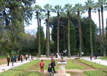 Mε μεταμεσονύχτια τροπολογία παραχωρούν σε ιδιώτη διαχειριστή τον Εθνικό Κήπο