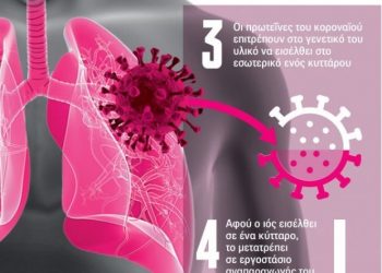 Κορονοϊός: Πώς επιτίθεται ο ιός στο ανθρώπινο σώμα – Βήμα-βήμα τα 13 «χτυπήματα»