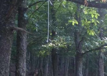 44χρονος βρέθηκε κρεμασμένος σε δέντρο από τα ανίψια του