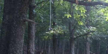 Alldaynews.gr 44χρονος βρέθηκε κρεμασμένος σε δέντρο από τα ανίψια του