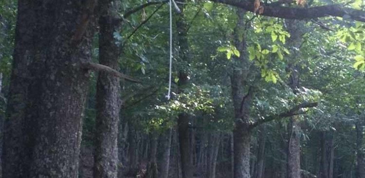 Alldaynews.gr 44χρονος βρέθηκε κρεμασμένος σε δέντρο από τα ανίψια του