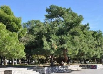 Βόλος: Ζευγάρι έσπασε την απαγόρευση και πιάστηκε γuμνό σε πάρκο-“Άξιζε τον κόπο” είπε η 32χρονη